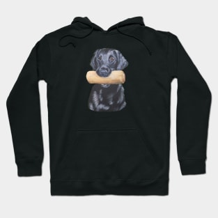 Flatcoated retriever with dumbbell Hoodie